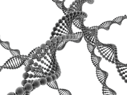 dna